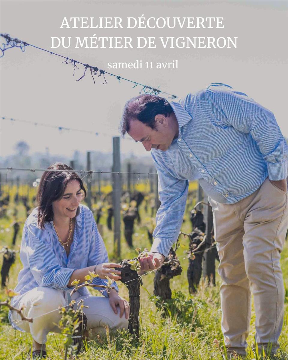 Atelier : découverte du métier de vigneron au  ...