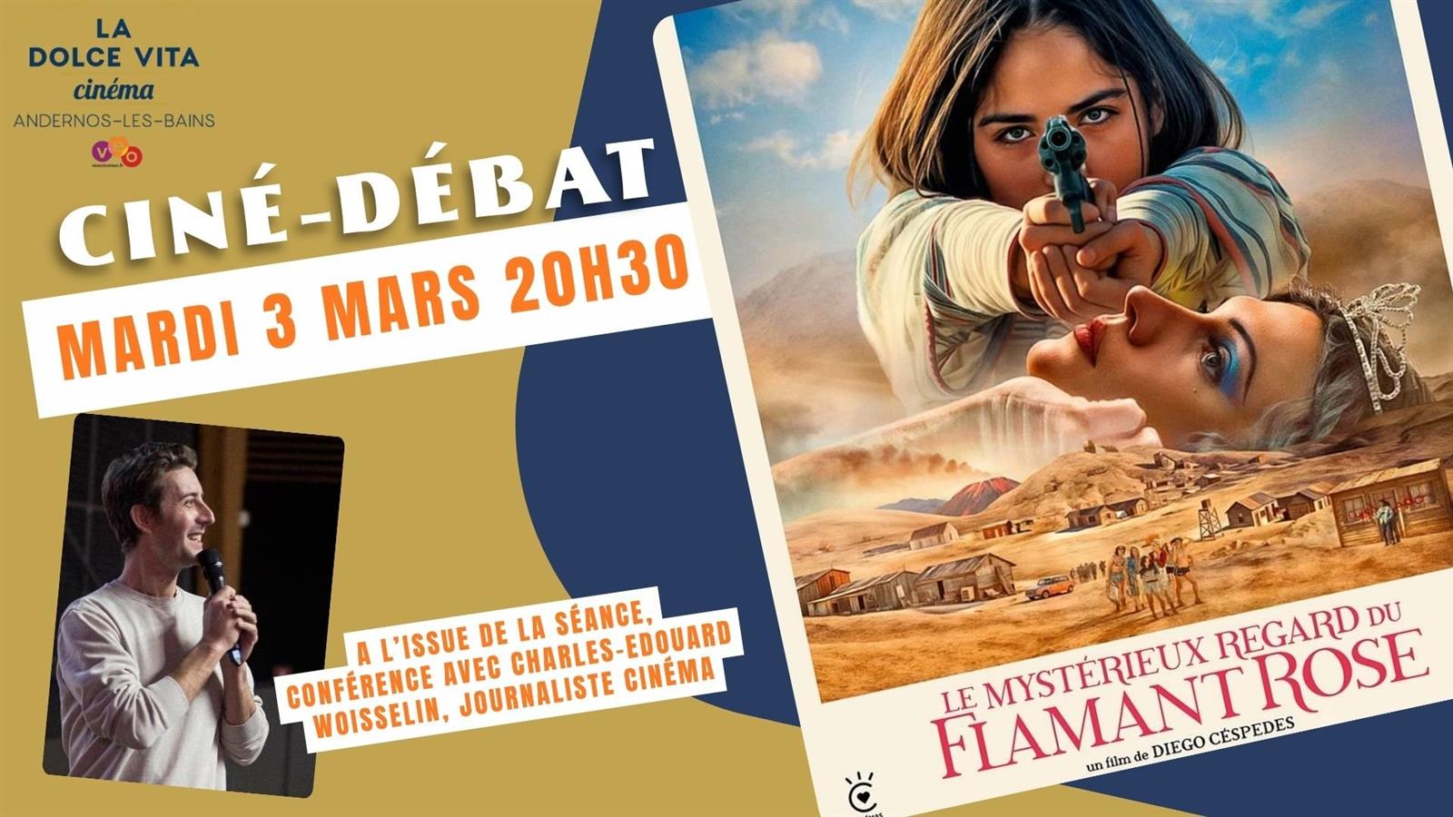 Ciné Débat "Le mystérieux regard du flamant rose"