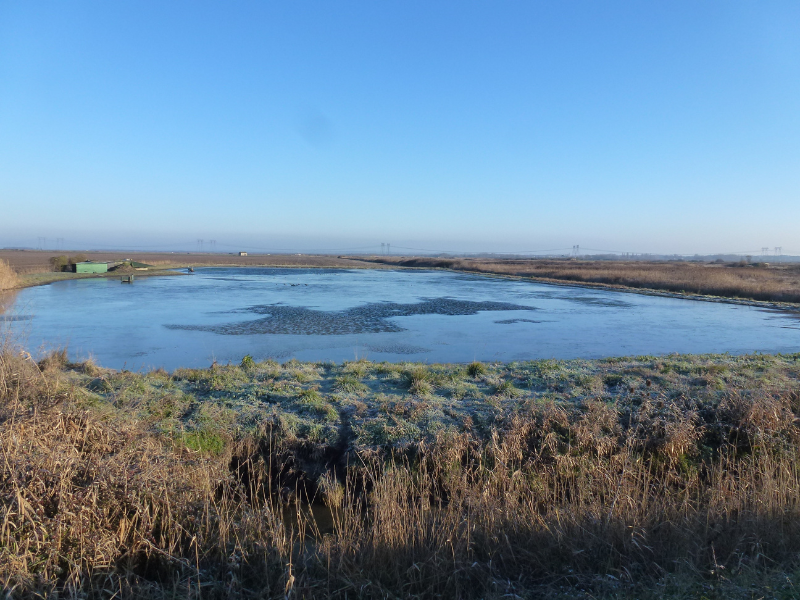 SEMAINE DE LA BIODIVERSITÉ - Visite d'une tonn ...