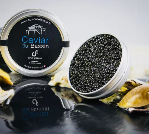 Les secrets du caviar : visite d'une esturgeonnière