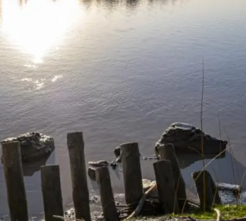 Découverte de la biodiversité des bords de Garonne