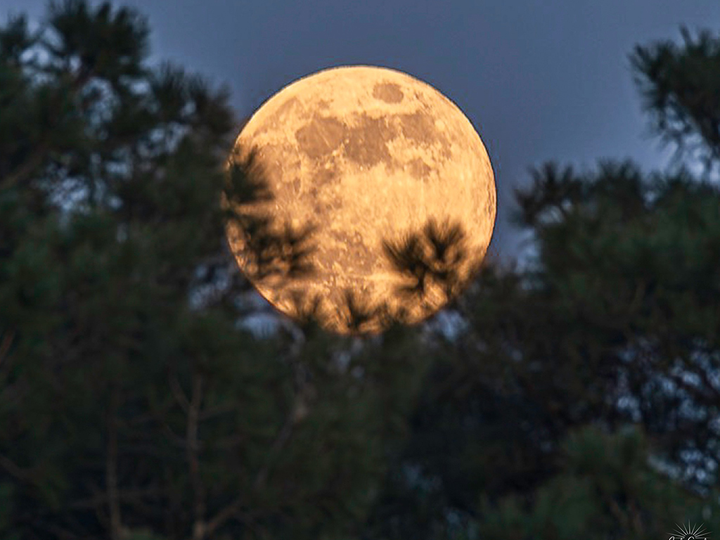 Observation du ciel nocturne