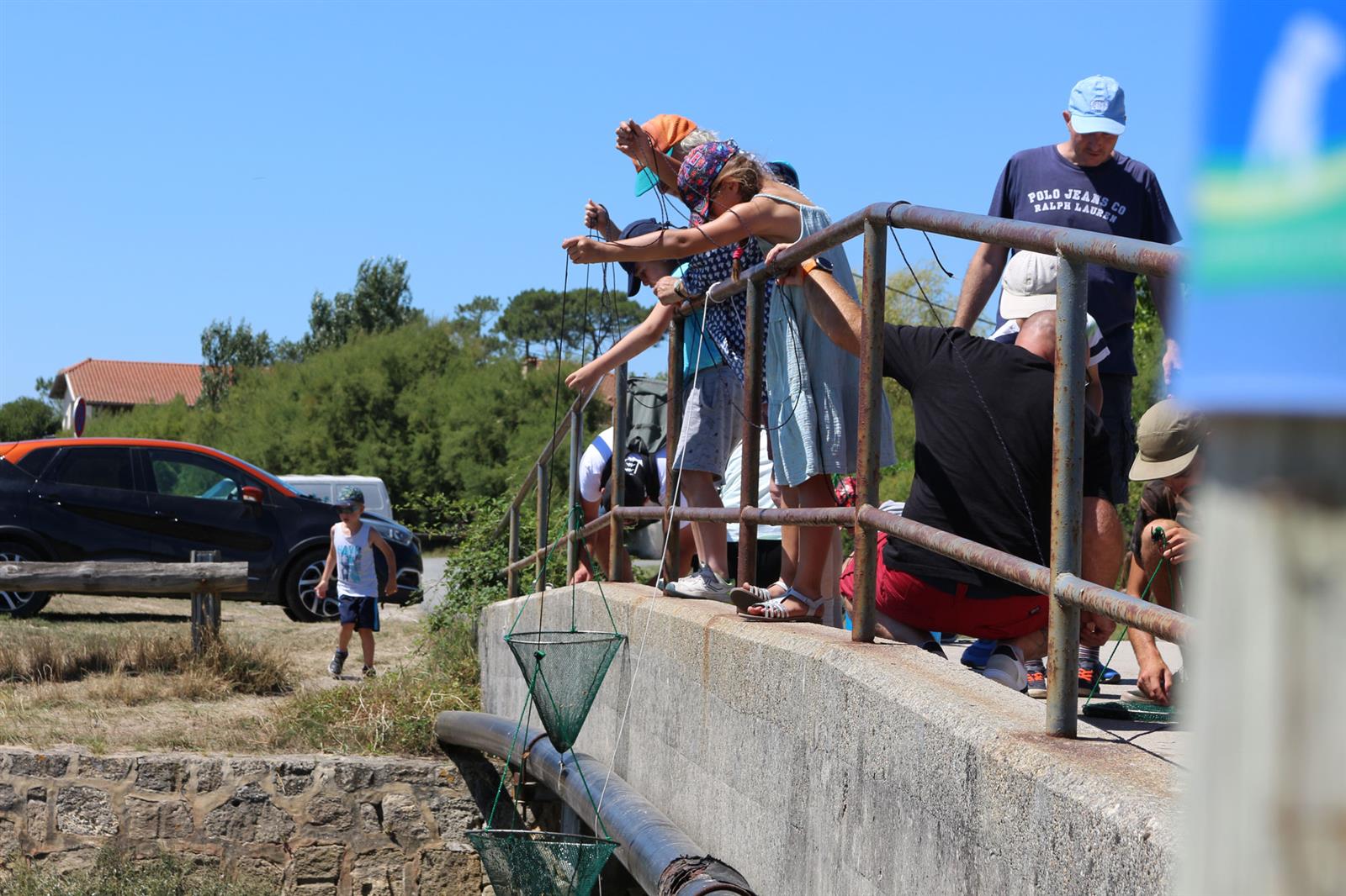Pince mi pince moi : petite pêche aux crabes