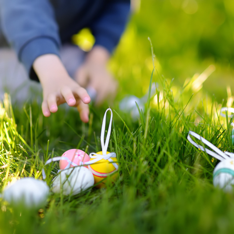 Chasse aux oeufs dans les vignes