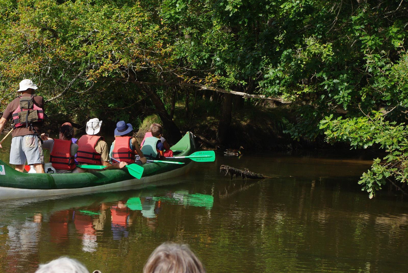 Descente de la Leyre en Canoë collectif entre  ...