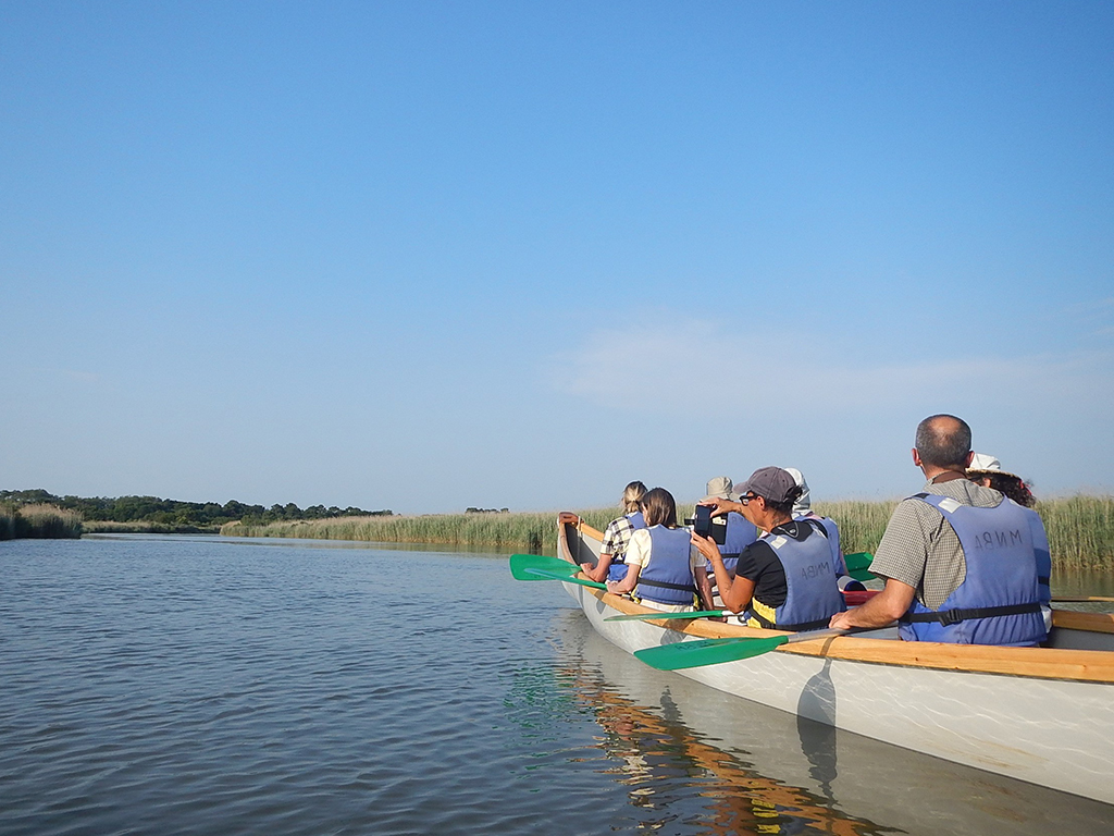 Balade sur le Delta de la Leyre en canoë colle ...