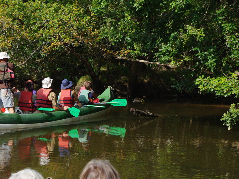 Balade sur le Delta de la Leyre en canoë colle ...