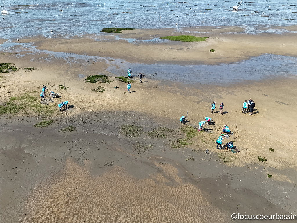 Chantier participatif : arrachage de la sparti ...