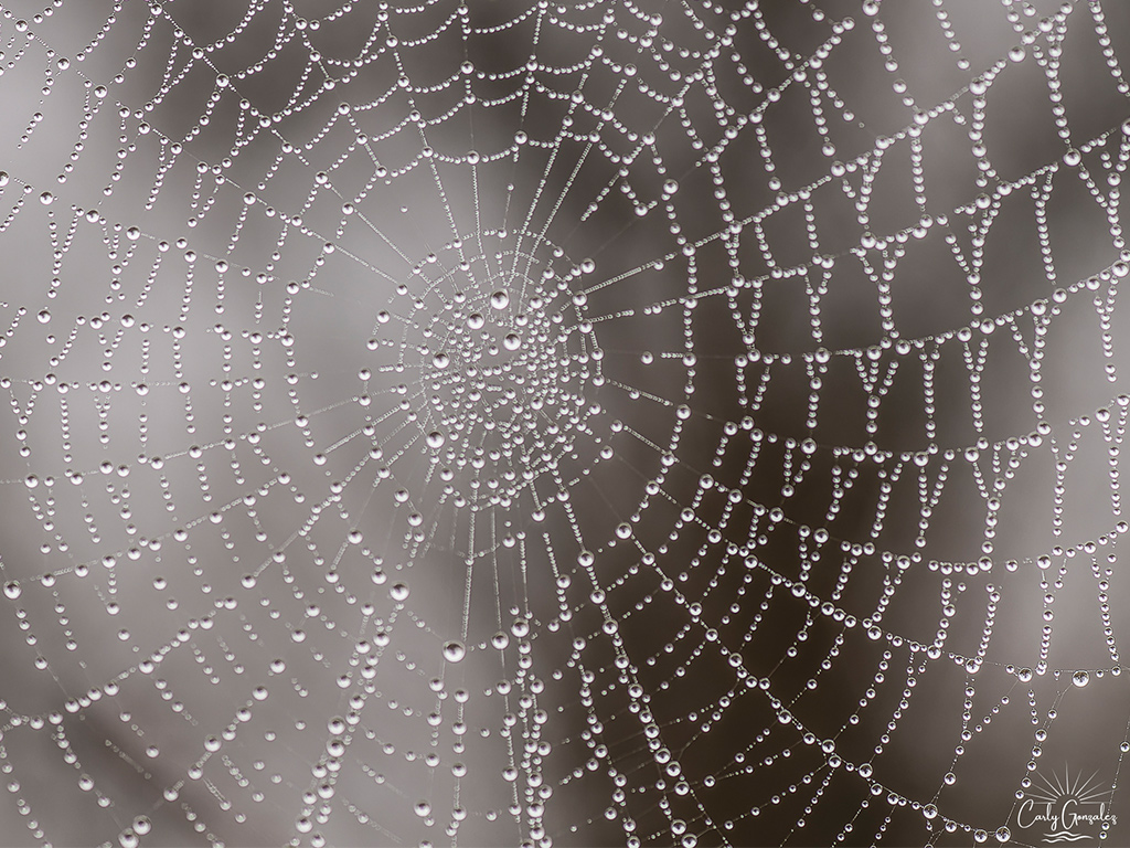 Les minuscules qui font peur