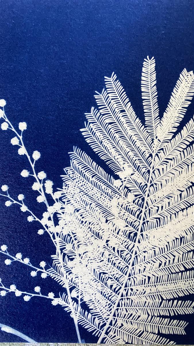 Atelier cyanotypes enfant