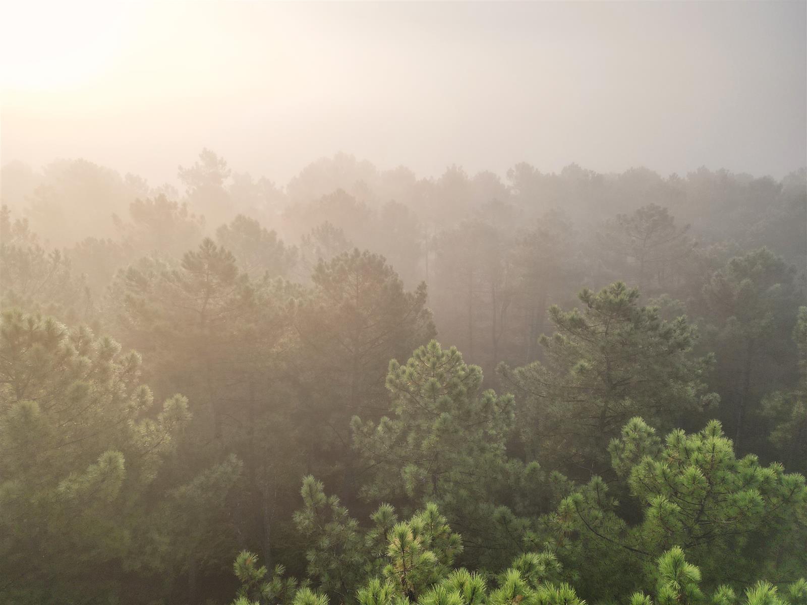 Rencontre et sensibilisation avec la DFCI