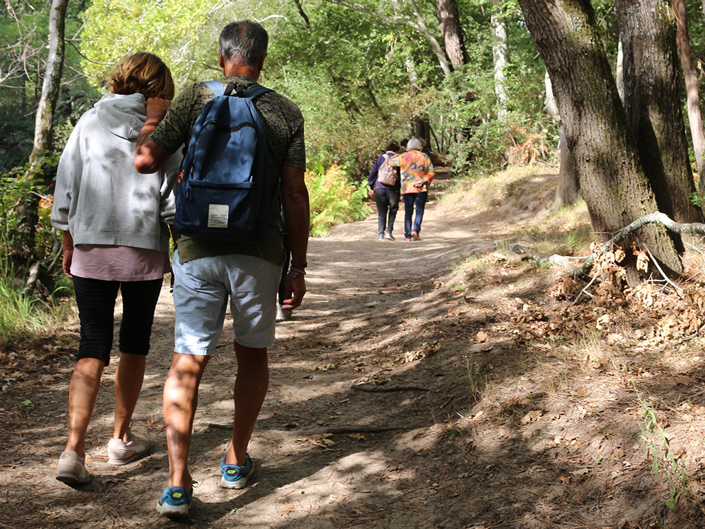 Balade sensorielle et immersive en forêt