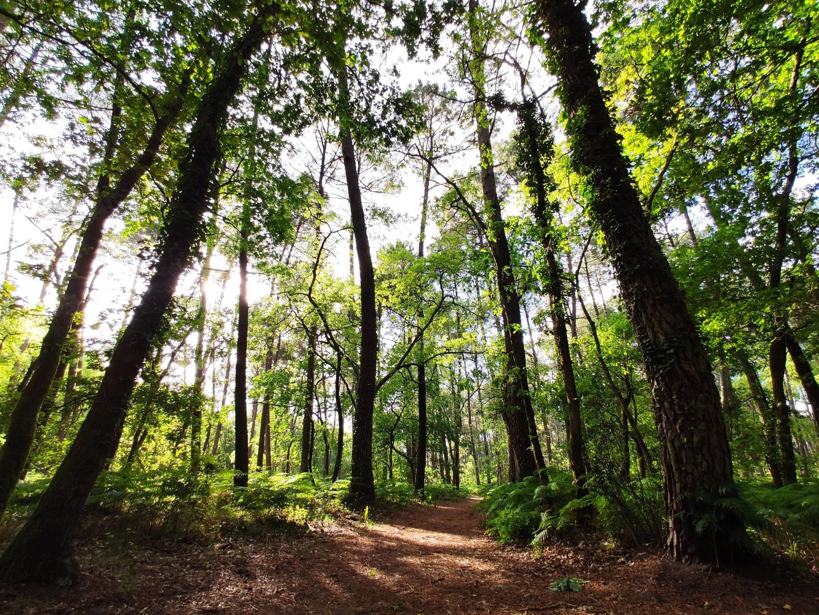 Balade contée Nature féerique au bord de la Le ...