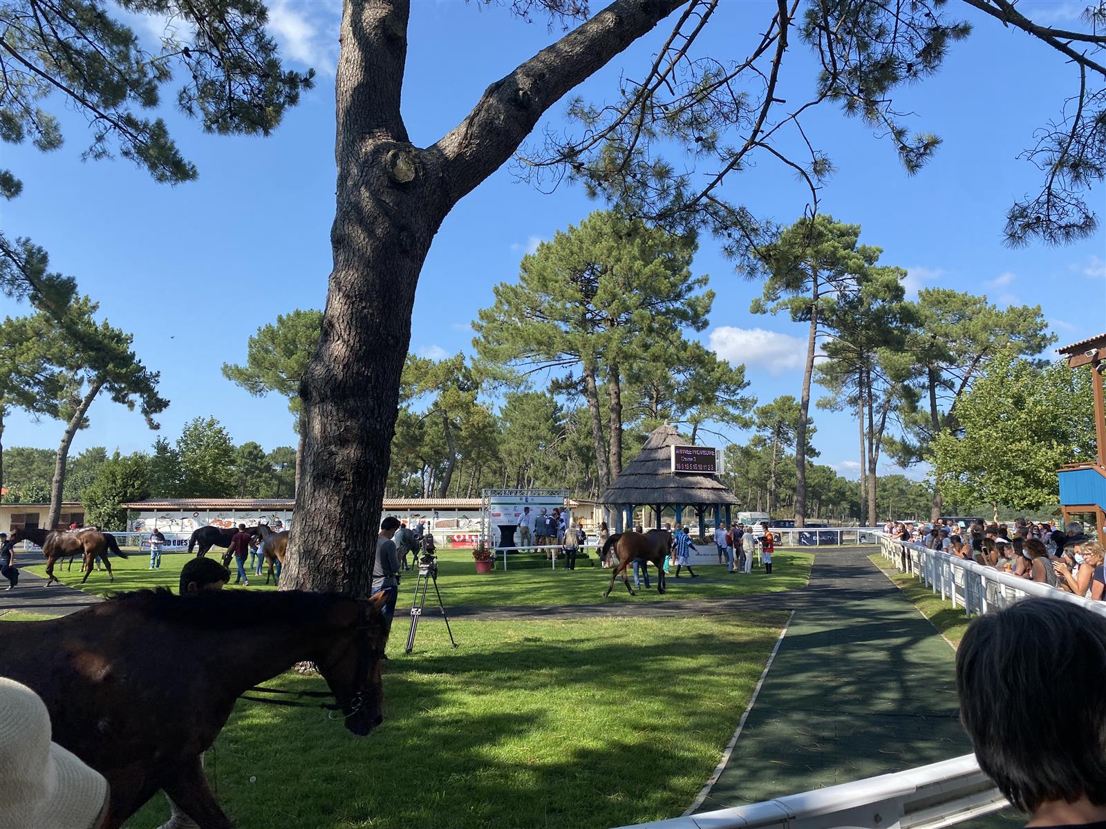 Visite privilège à l'hippodrome un jour de courses
