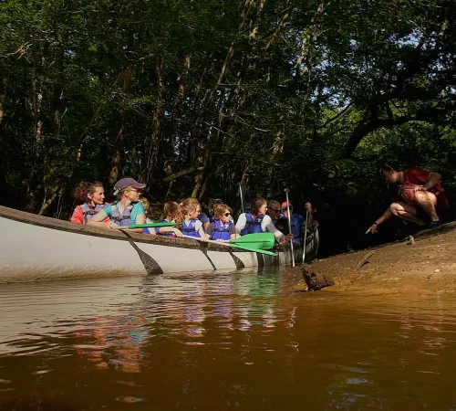 Balade guidée en canoë collectif sur la Leyre Départ Réserve Ornithologique