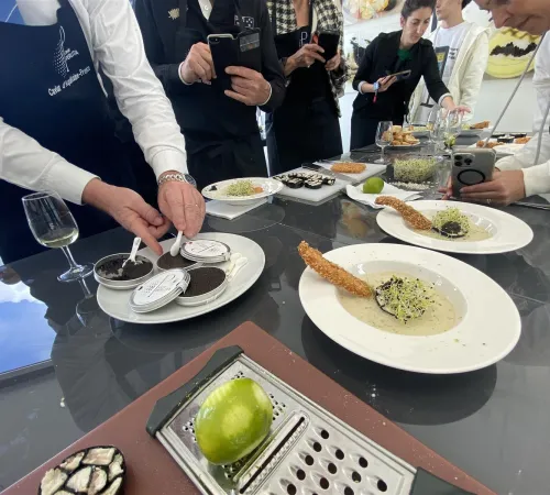Caviar et esturgeon : Cours de cuisine et dégustation
