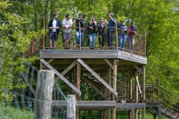 Sur les traces de nos voisins sauvages