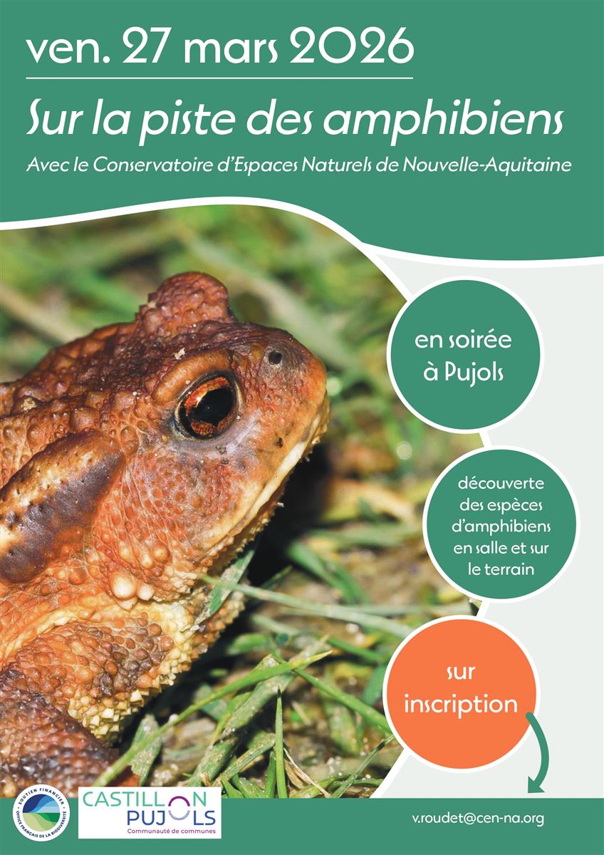 Sur la pistes des amphibiens