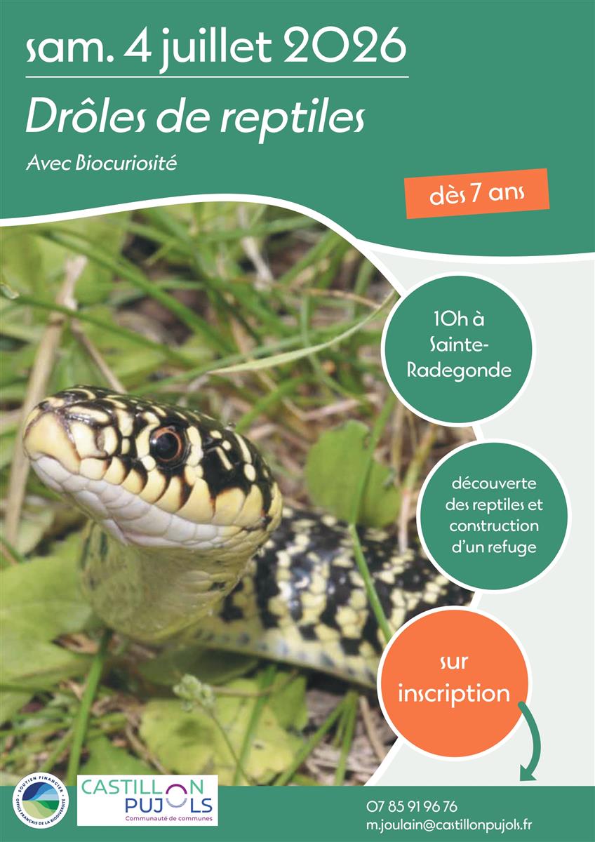 Petites bêtes de la mare