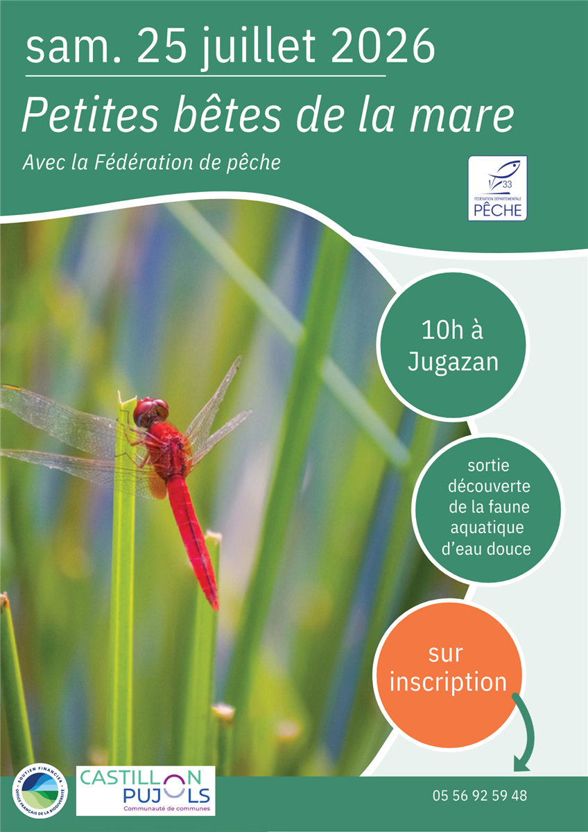 Petites bêtes de la mare