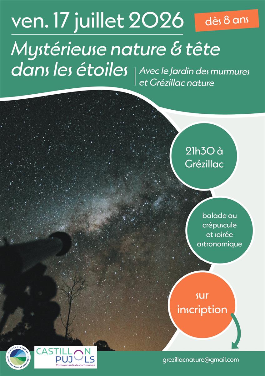 Mystérieuse nature et tête dans les étoiles