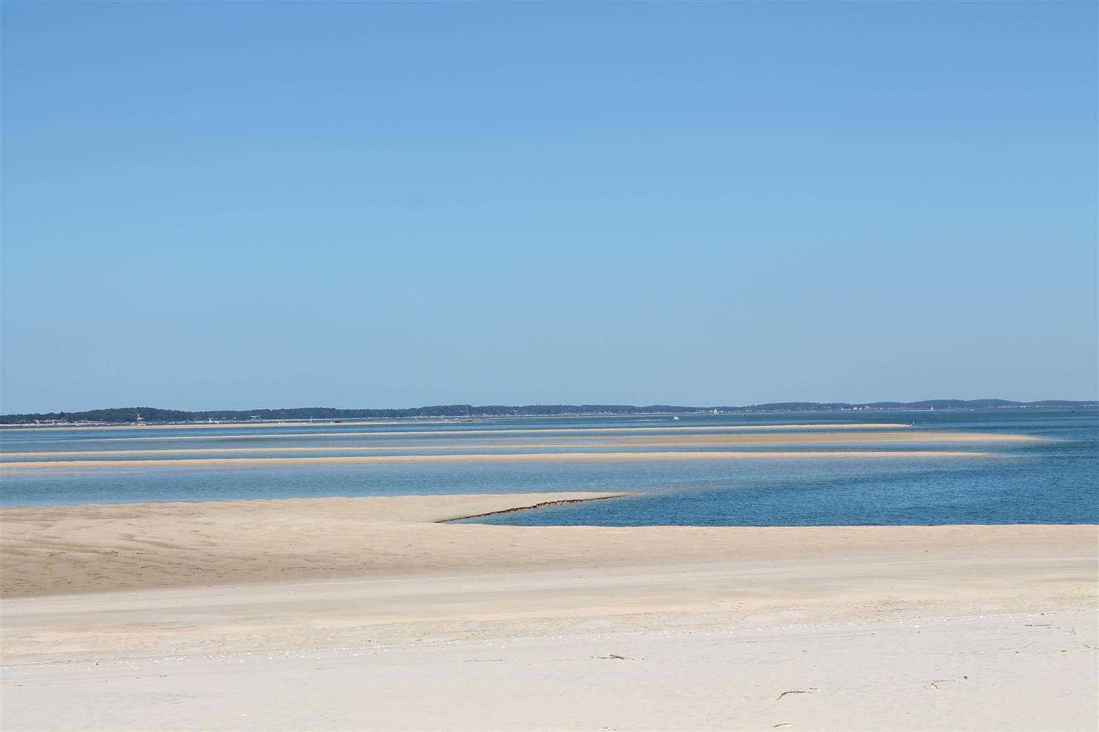 Visite guidée en kayak