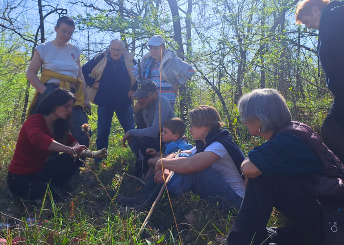 Balade guidée : "A la rencontre des insectes"