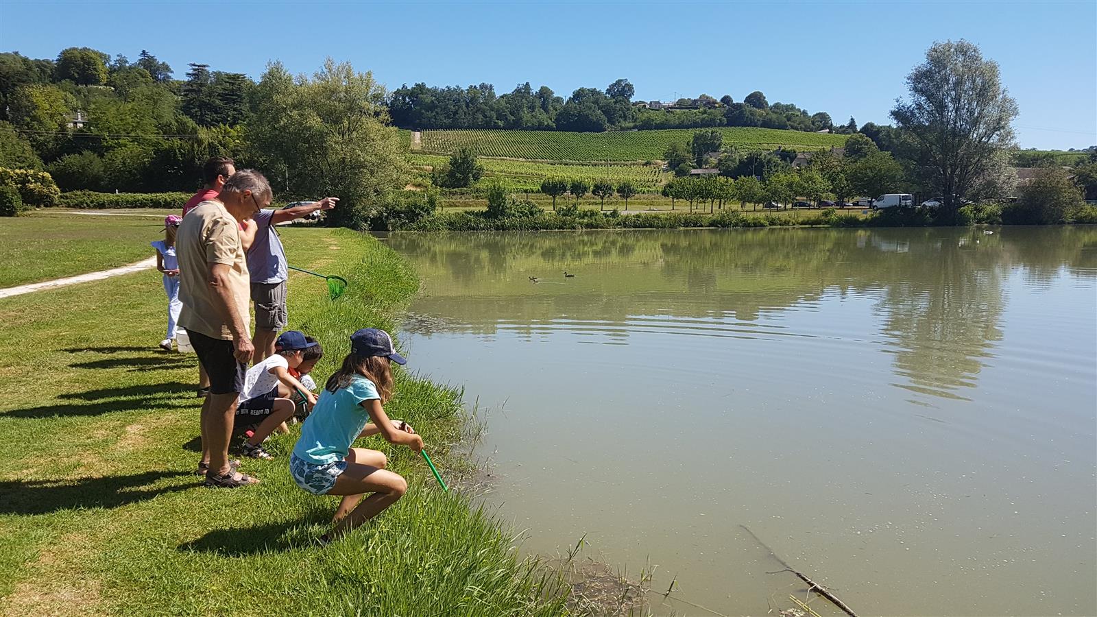 Atelier des p'tits curieux "Les petites bêtes  ...