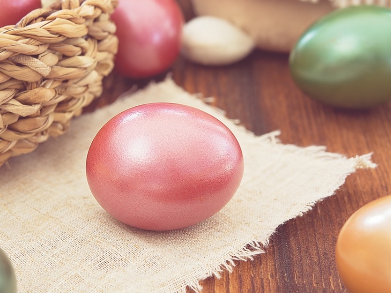 Grande chasse aux oeufs suivi du film Walter Lapin