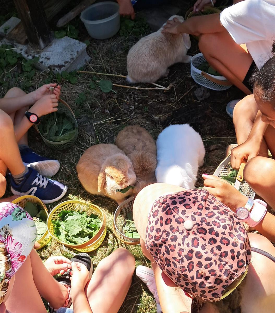 Atelier des p'tits curieux : "Immersion à la f ...