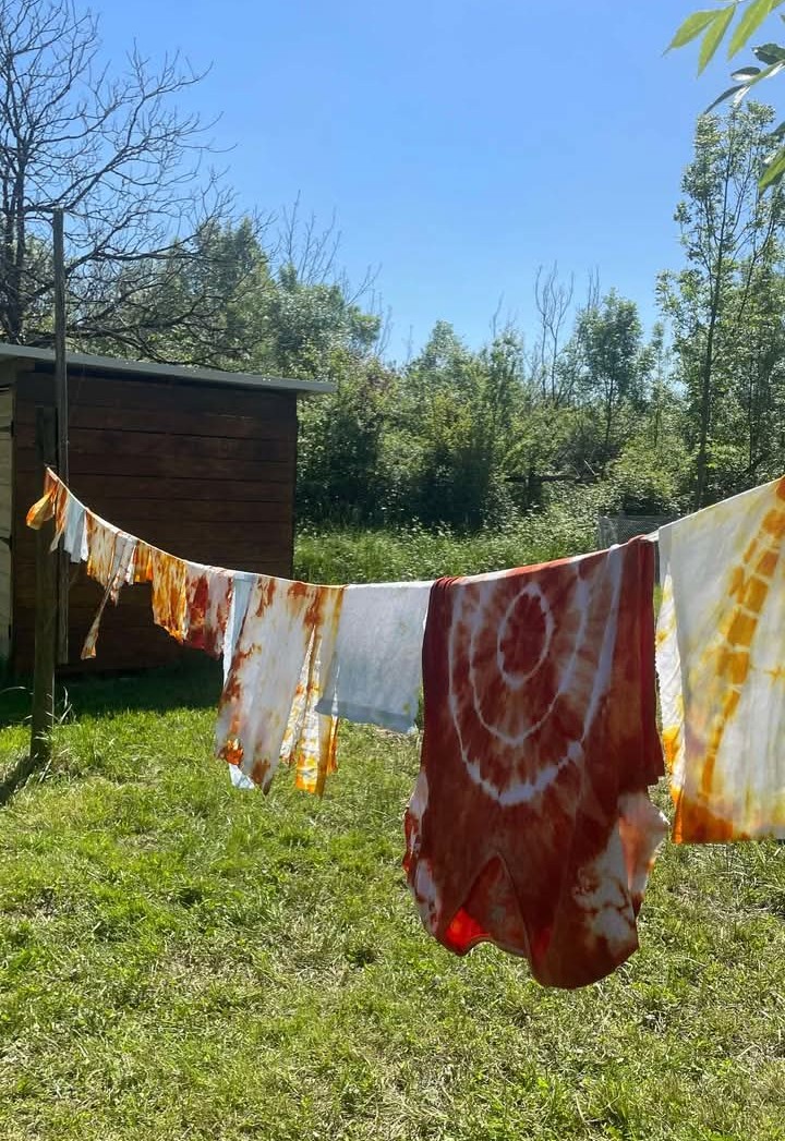 Atelier des p'tits curieux : "Immersion à la f ...