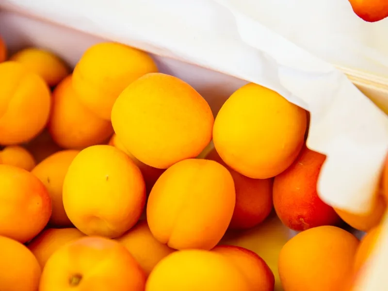 Marché de Grignols le ... - Crédit: Grégory Cassiau | CC BY-NC-ND 4.0