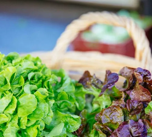 Marché de Préchac le mardi