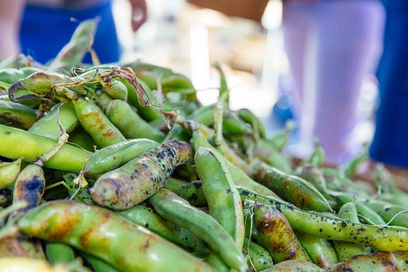 Marché de Saint-Macai ... - Crédit: Grégory Cassiau - Les Escapades | CC BY-NC-ND 4.0