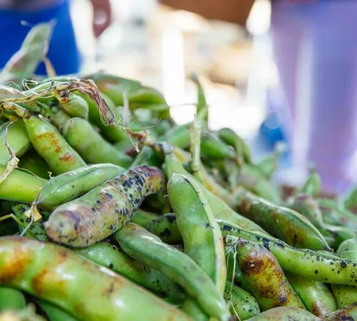 Marché de Saint-Macaire le jeudi et le dimanche