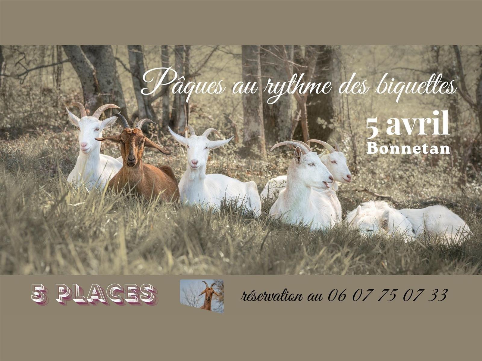 Pâques au rythme des biquettes