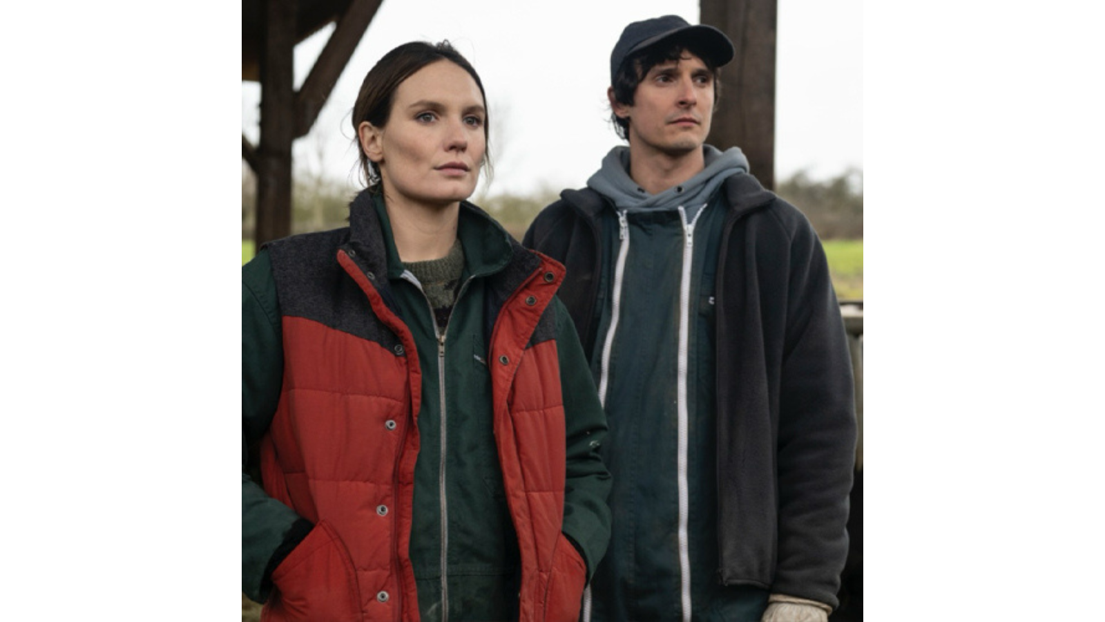 Ciné Échanges : La guerre des prix