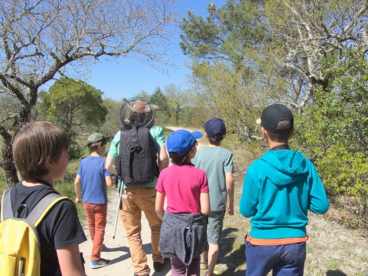 Les 3 eaux de Saint Brice