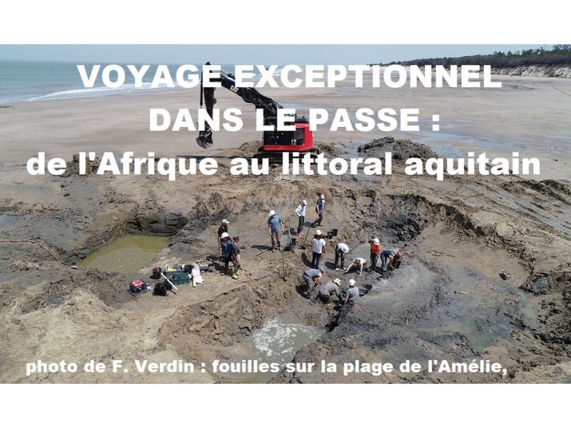 Voyage exceptionnel dans le passé : de l'Afriq ...