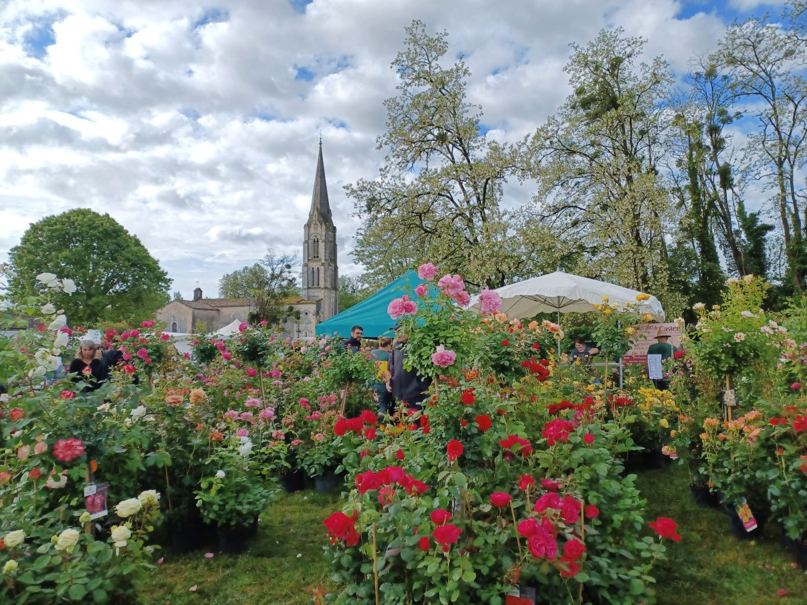 Fête des plantes de Saucats