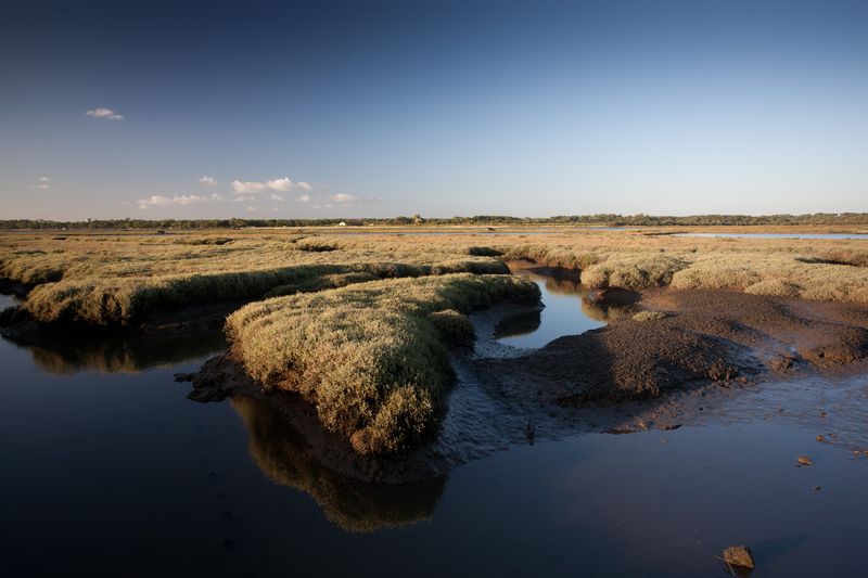 Les Polders du Bassin d'Arcachon