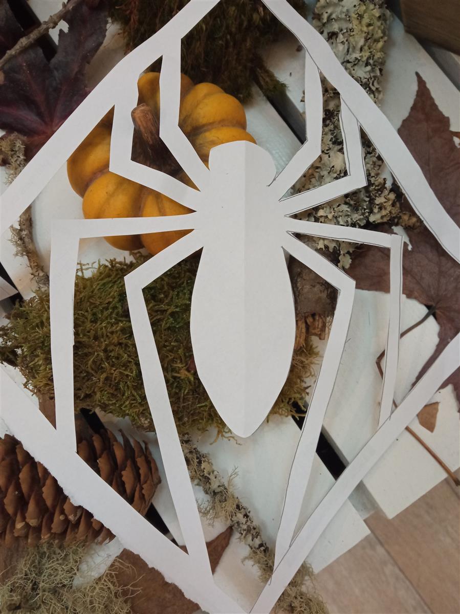 Atelier créatif Chauve souris et compagnie