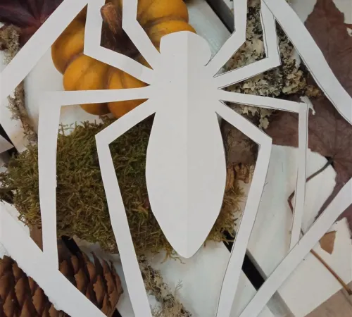 Atelier créatif Chauve souris et compagnie