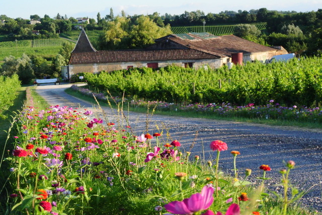 Château La Brande - "Un dimanche au Château en ...