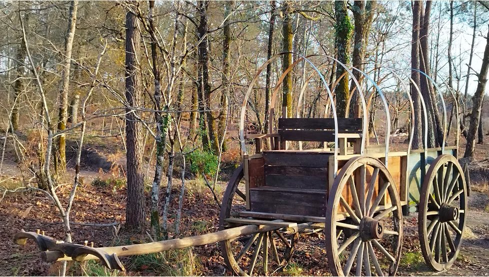 Les Terres Indiennes - Inauguration des décors