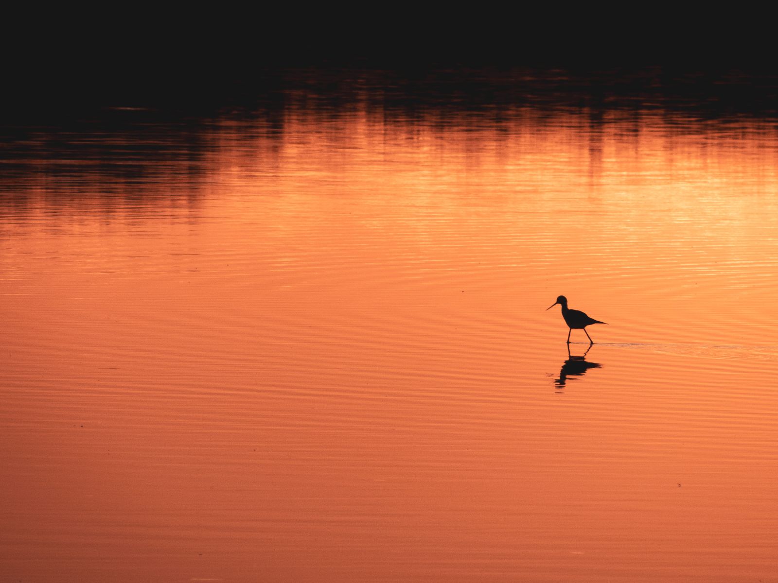 Sortie crépusculaire