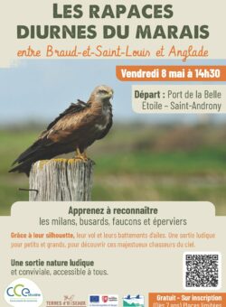 Sortie Natura 2000 sur les rapaces diurnes