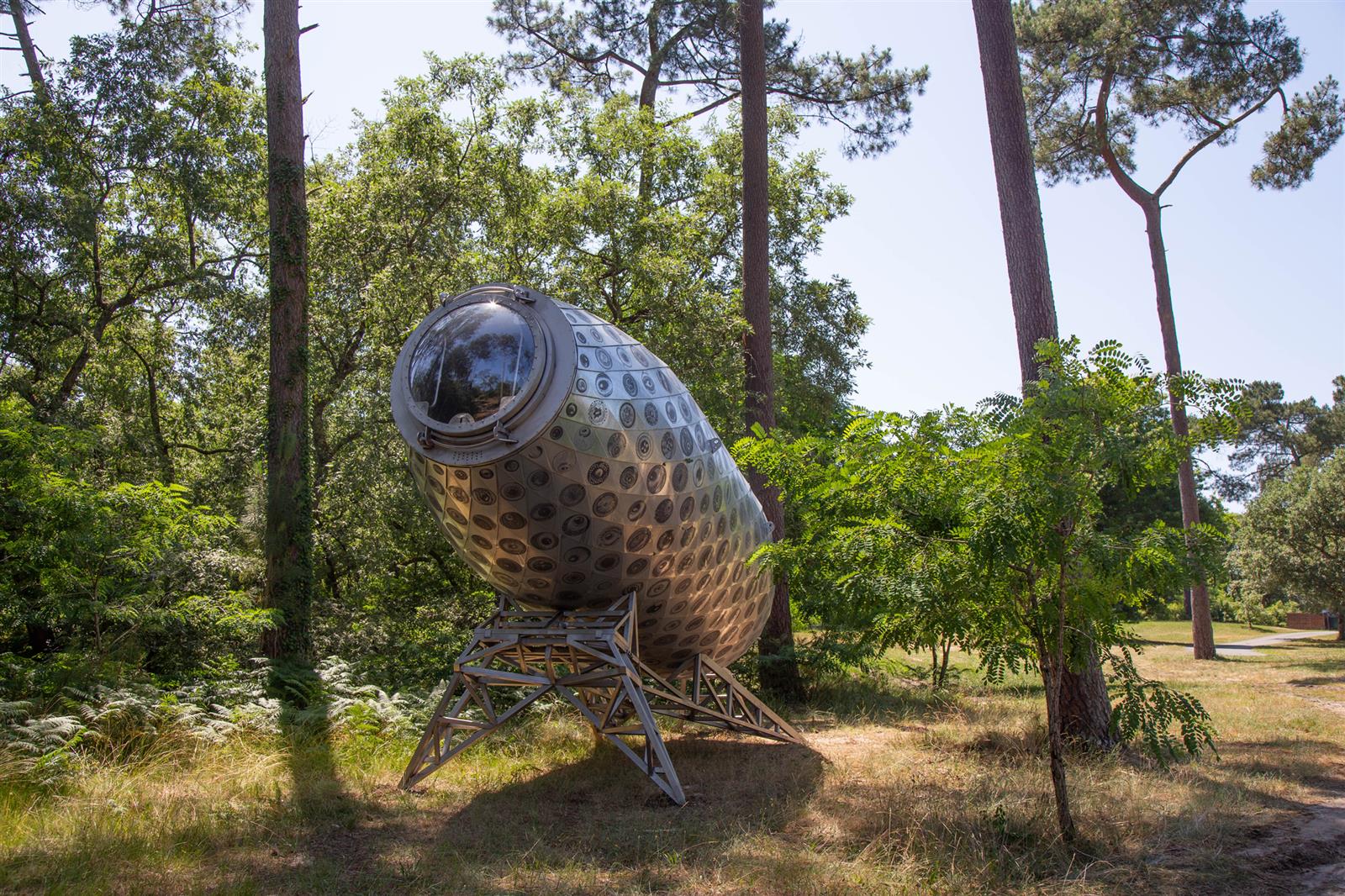 Sous les étoiles, randonnée naturaliste et art ...