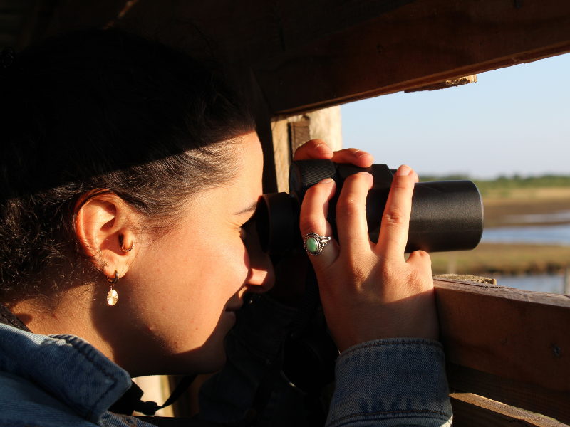 Matinale de l'été à Terres d'Oiseaux