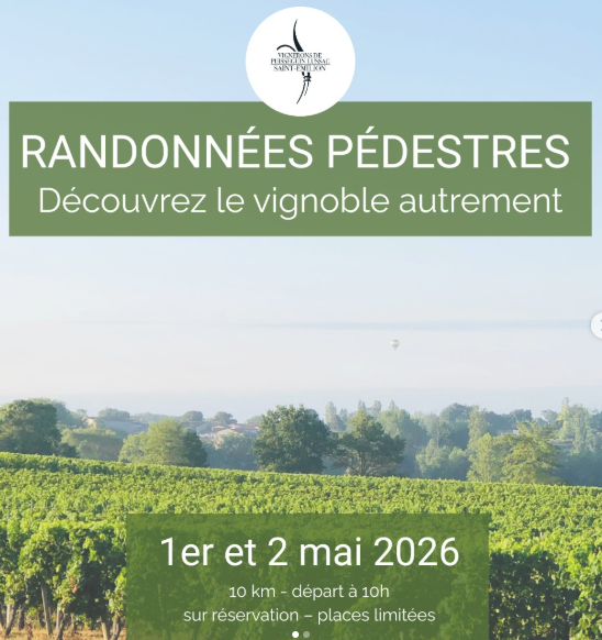 Cave des Vignerons de Puisseguin Lussac Saint- ...